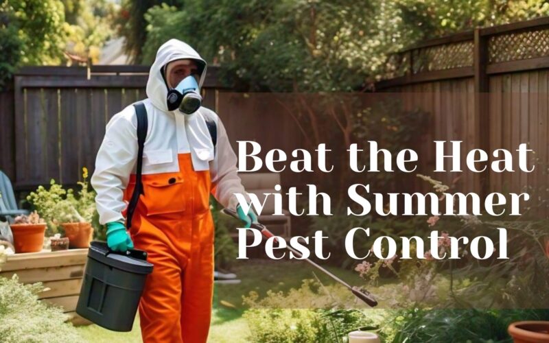 Beat the Heat with Summer Pest Control