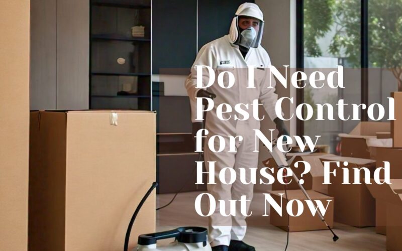 Do I Need Pest Control for New House? Find Out Now