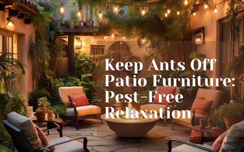 Keep Ants Off Patio Furniture: Pest-Free Relaxation