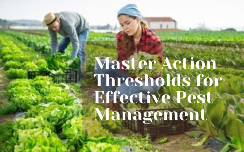 Master Action Thresholds for Effective Pest Management