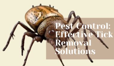 Pest Control Effective Tick Removal Solutions