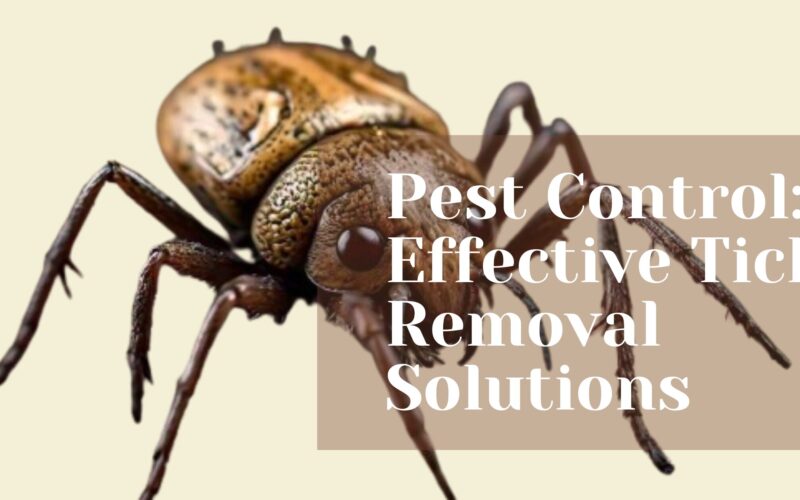 Pest Control Effective Tick Removal Solutions