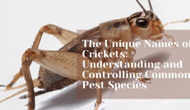 The Unique Names of Crickets: Understanding and Controlling Common Pest Species