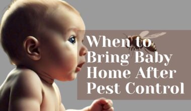 When to bring baby home after pest control