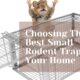 Choosing The Best Small Rodent Trap For Your Home