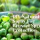 DIY Natural Bug Spray For Brussel Sprouts Protection