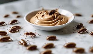 how to get rid of flying cockroach with Peanut Butter and Boric Acid Paste