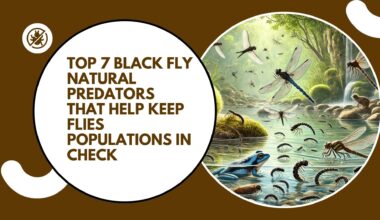 Black Fly Natural Predators