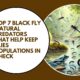 Black Fly Natural Predators