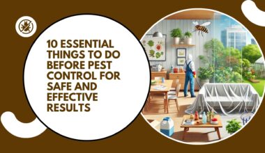 Things to Do Before Pest Control