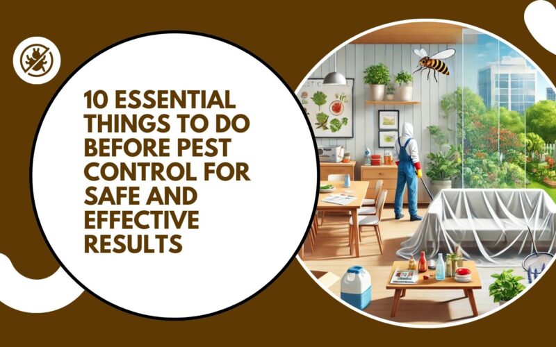 Things to Do Before Pest Control