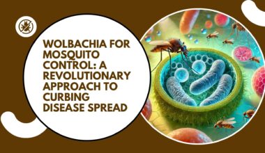 Wolbachia for Mosquito Control