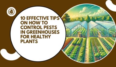 How to Control Pests in Greenhouses