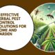 Herbal Pest Control Solutions