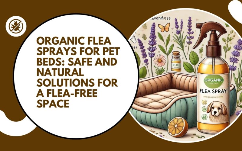 Organic Flea Sprays for Pet Beds