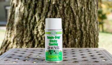 Tanglefoot glue for pest control